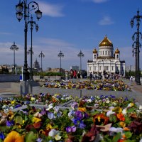 ... :: Олег Пономаренко