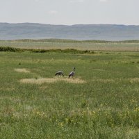 Хм кажется кто то приближается :: Рома Даниленко