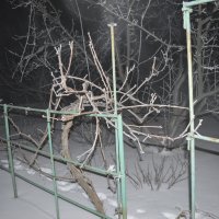 Последний снег :: Дмитрий Т