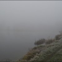 Утренний туман :: Weles 