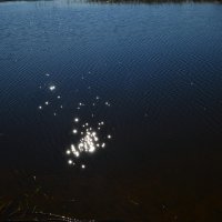 Отображение золотых лучей в озере :: Евгений Пикаревский