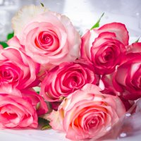 Букет свежих роз :: Алёна Романова