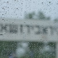 В дождь :: Юлия Другова