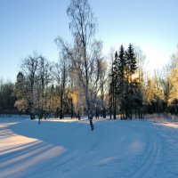 Солнце нызэнько :: Олег Попков