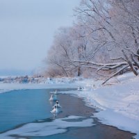 Голубые дали :: Светлана Морсина