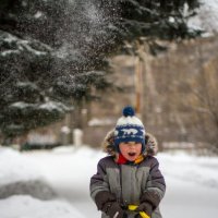 снежок :: Нина Калитеева