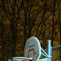 Snow basket-ball :: Lina Liber