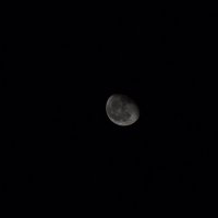 Луна :: Павел Данилевский