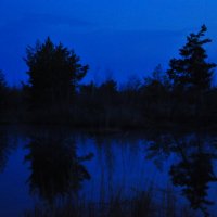 Ночь на болоте... :: Anatoly Lunov