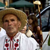 сало :: Владимир Бурдин