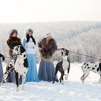 &quot;Королевская охота&quot; :: Елена Серебрякова