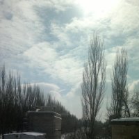 Зима :: Сергей Солдатенко