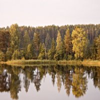 Осень :: Владимир Савченко