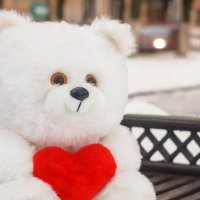 Мой плюшевый медвежонок :: Евгения Ермолаева