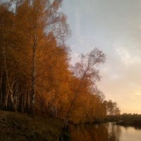 Золотая осень :: Валерий Гусельников