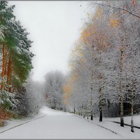 Первый снег :: Мила Раменская (Забота)