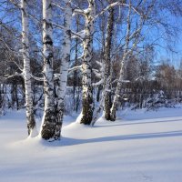 Прогулка :: Николай Мальцев