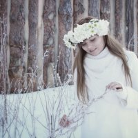 Прекрасная Зима :: Мария Батина
