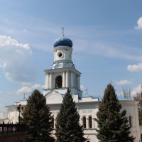 Святогорский монастырь :: Александр Ведмидь