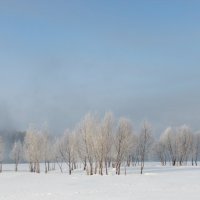 Зимнее настроение :: Лена Реснянская