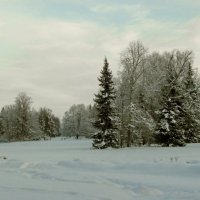 Зимний парк :: Олег Попков