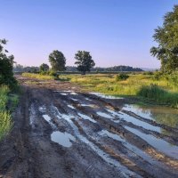 Прошли обильные дожди :: Любовь Потеряхина