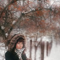 Времена года: Зима :: Mary Ilyina