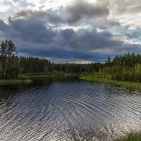 В ожидании :: Сергей Быстров