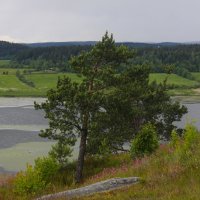 Сортавала :: Денис Матвеев