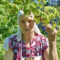 Сладкая ягода :: Валерий Талашов