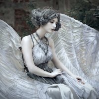 "Серый ангел" :: Анастасия Ларионова