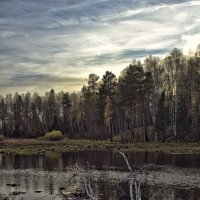 осень :: Сергей Политыкин