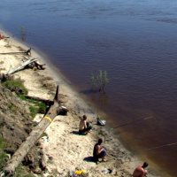 на берегу Иртыша :: Олег Петрушов