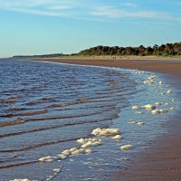 Северодвинск. Морская пена :: Владимир Шибинский