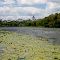 ЕЛЕЦ р.Быстрая Сосна кувшинки :: Анатолий 