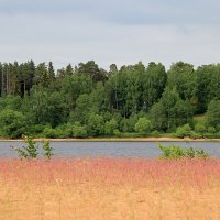 Берег, река, небо :: Колеснова Алла 