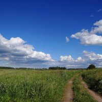 По полюшку, по полюшку.. :: Антонина Гугаева