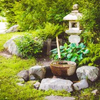 японский сад :: Ольга Шульгина