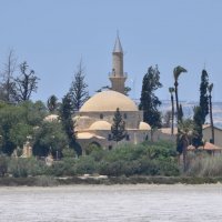 Кипр, Ларнака, Мечеть Хала Султан Текке :: Михаил Кандыбин