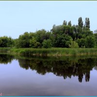 На пруду. Отражение. :: Анатолий Ливцов