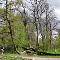 Весна в Ботаническом саду. :: ТАТЬЯНА (tatik)