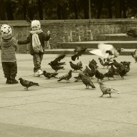 Дети и голуби :: Александр 
