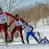 Борьба на лыжне :: Литвинов Валерий 