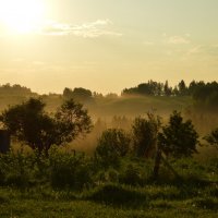 пылю-ю-ю-ка... :: Евгения Семененко 