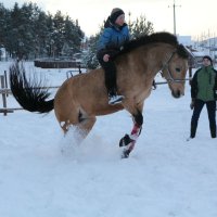 Прыг скок :з :: Анна Чёрная