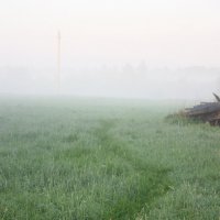 06 утра.. туман) :: Lana Dob