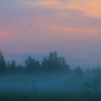 на закате :: Marusiya БОНДАРЕНКО