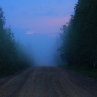 В туман :: Marusiya БОНДАРЕНКО