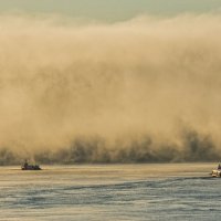 В туман :: Alexander Antonov