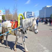 Весенний день в городе :: Лада Солонская